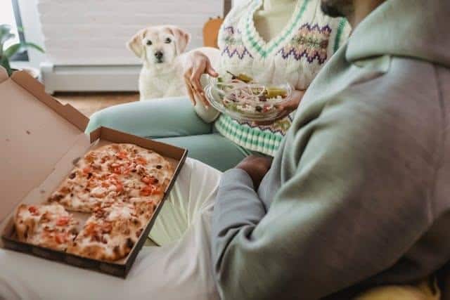 Perro blanco velando la comida de humano