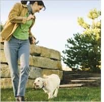 Puppy with owner