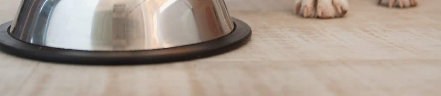 initial