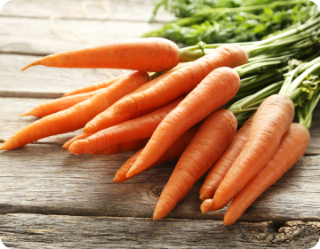 Zanahorias