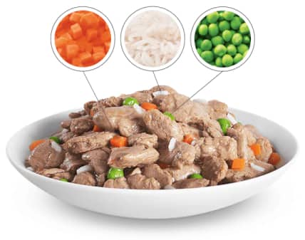 Plato con comida Hill's