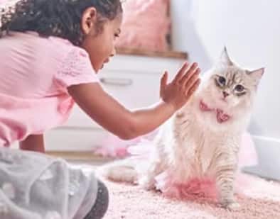 Una niña jugando con un gatito