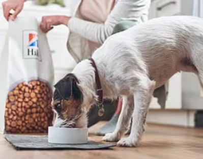  Perro comiendo comida para mascotas Hill's