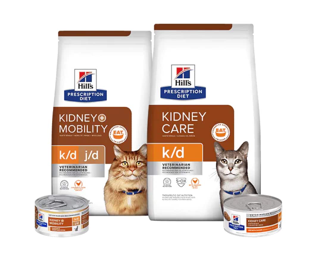 Cuidado renal comida para gatos