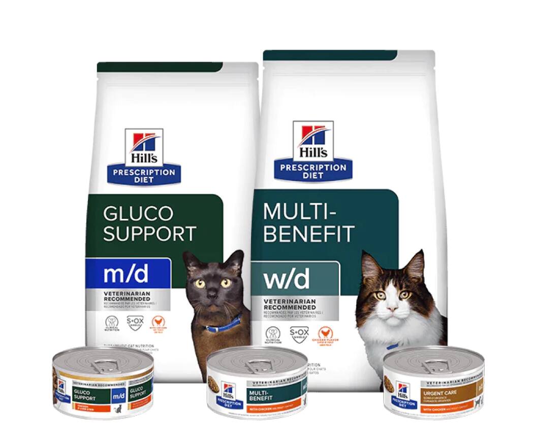 Comida para gatos Prescription Diet