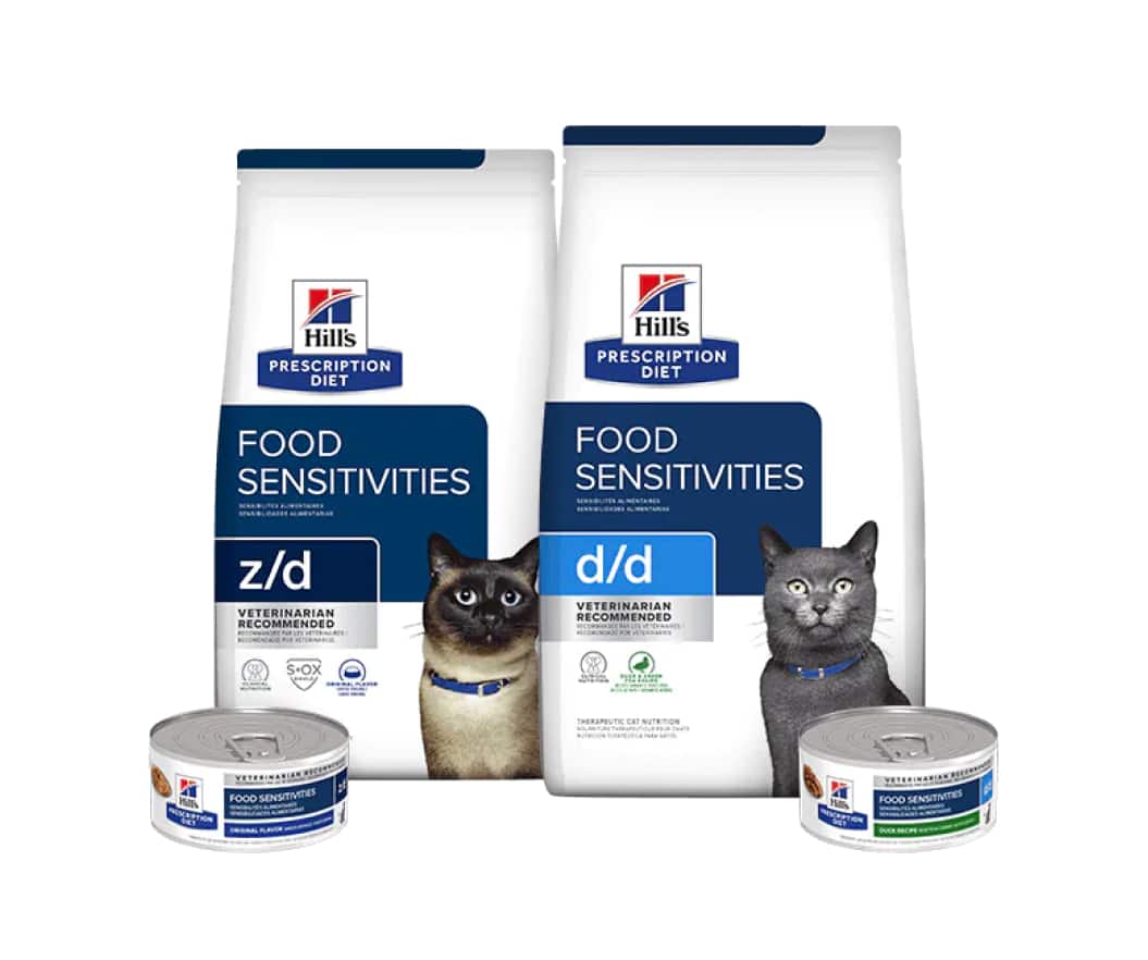  Cuidado de la piel comida para gatos