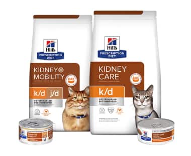 Cuidado renal comida para gatos