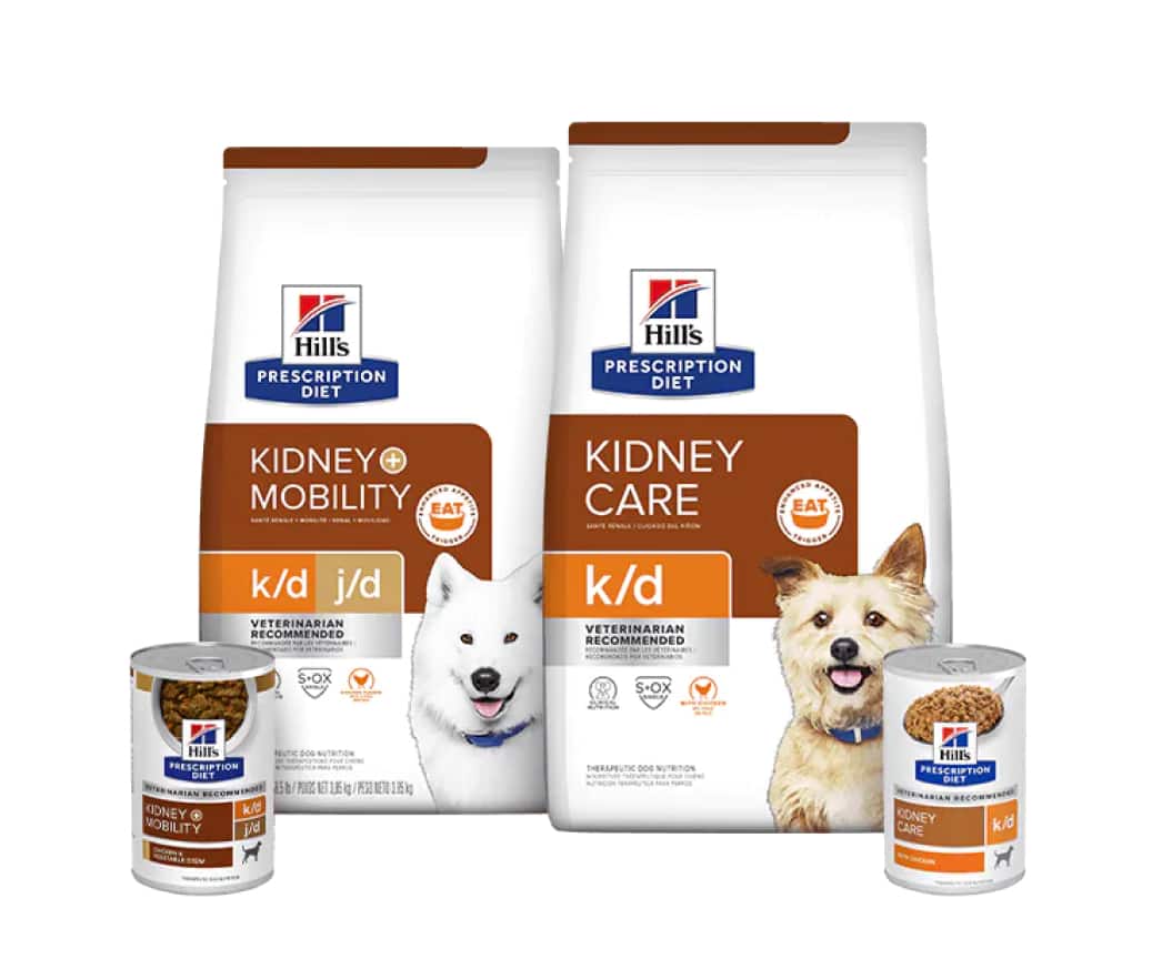 Cuidado renal comida para perros