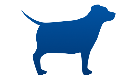 Perro gordito