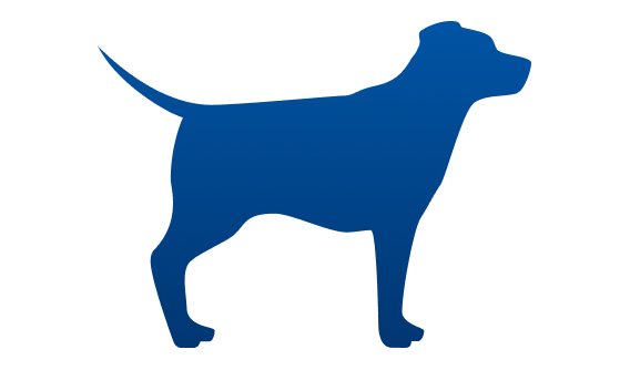 Perro peso ideal