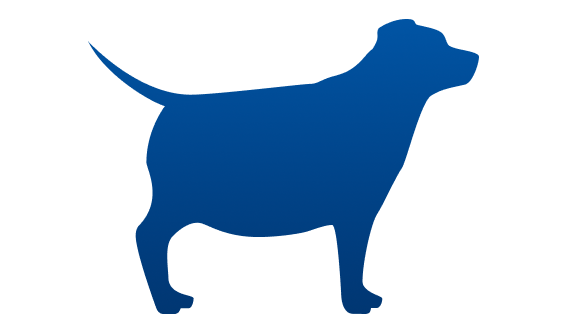 Perro con sobrepeso