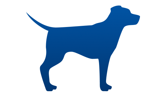 Perro bajo peso
