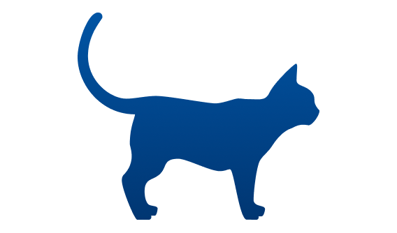 Gato bajo peso