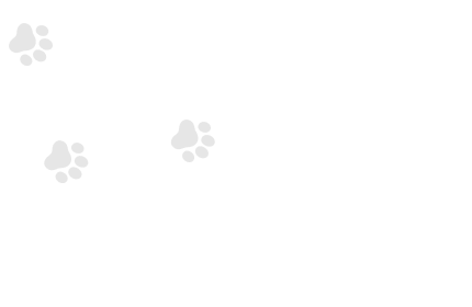 Huellas