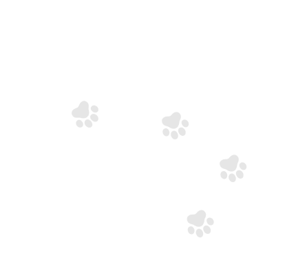 Huellas
