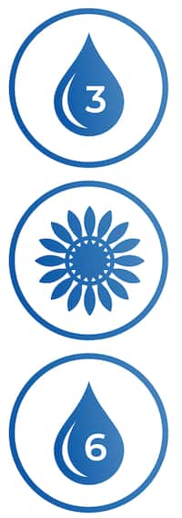 iconos de omega 3, flor, omega 6