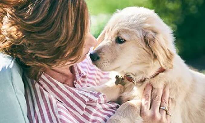 Un cachorro con su mascota